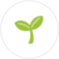 Growing SME Business